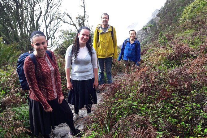 Skeleton Gorge Hike on Table Mountain - Shaded Ravine Climb and Wooden Ladders: What the Hike Really Feels Like