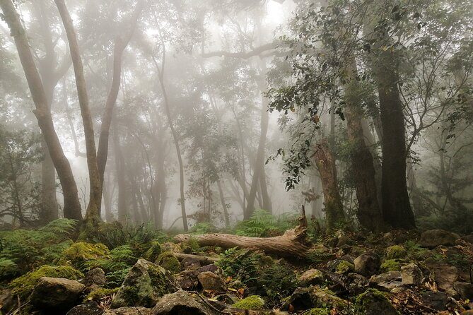 Skeleton Gorge Hike up Table Mountain - Key highlights at a glance