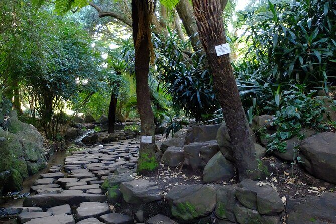 Skeleton Gorge Hike up Table Mountain - Summit views and the cable car descent: plan your timing