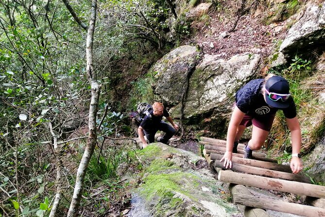 Skeleton Gorge Hike up Table Mountain - Price and value: what you’re paying for at $79.75
