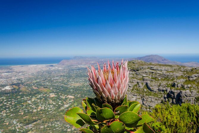 Skeleton Gorge to Table Mountain summit - Kirstenbosch to the eastern slopes: a smarter way to start Table Mountain