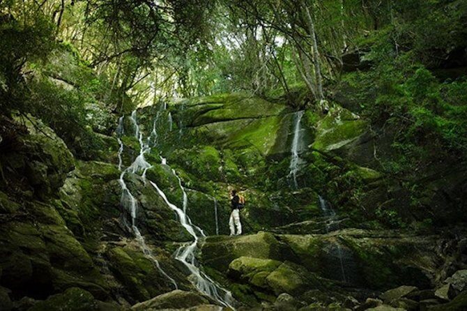 Skeleton Gorge to Table Mountain summit - Small group hiking with a real guide (and why it matters)