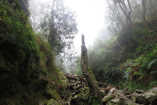 Skeleton Gorge to Table Mountain summit - Weather is not a footnote: winds can change the plan