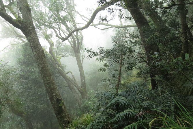 Skeleton Gorge to Table Mountain summit - Footing and pace: who this hike fits best