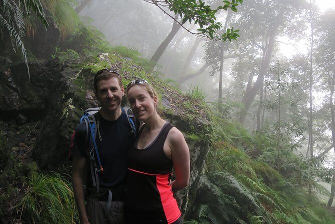 Skeleton Gorge to Table Mountain summit - The first big section: indigenous forest and what you’ll learn on the way up