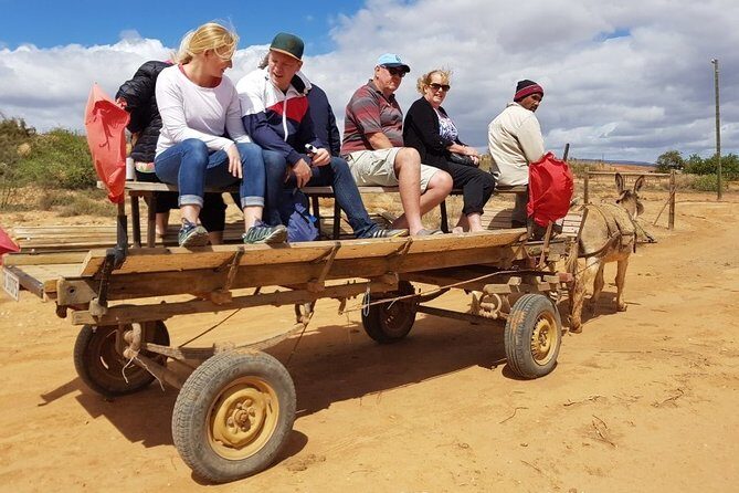 Skip the Line: Highgate Ostrich Farm Tour Ticket - Price and value: why this is a good deal at around $11.28