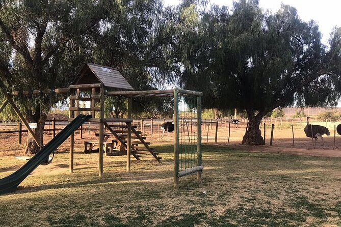 Skip the Line: Highgate Ostrich Farm Tour Ticket - Practical tips to help you get the most out of your 1 hour 15 minutes