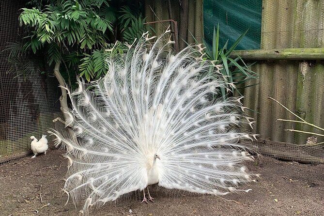 Skip the Line: World of Birds Admission Ticket - Family-friendly animal time, with small-group comfort