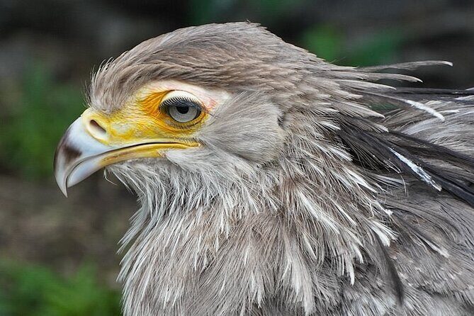 Skip the Line: World of Birds Admission Ticket - Mobile ticket and getting in smoothly