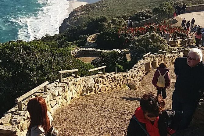 Small Group Cape Of Good Hope Penguins Wine Tasting Inc Park Fees - Cape Point Nature Reserve and Lighthouses: UNESCO Plants and a View Worth Braving the Wind