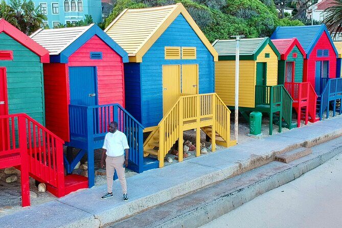 Small Group Table Mountain Penguin Colony and Cape Point Tour - Boulders Beach penguin colony: your 45 minutes with wildlife