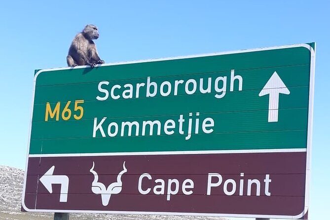 Small Group Table Mountain Penguin Colony and Cape Point Tour - Table Mountain timing and the cable car reality when wind is up