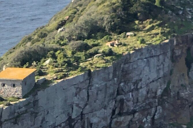 Small Group Tour Boulders Beach Penguin Colony Cape of Good Hope - Camps Bay and Maiden’s Cove: The “Ocean on One Side” Ride