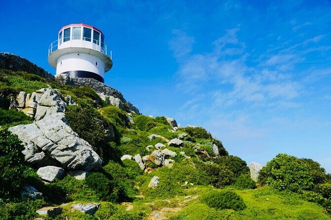 Small Group Tour: Penguins, Cape Point and Cape of Good Hope - Chapmans Peak Drive: The Scenic Route You Want on Your Camera
