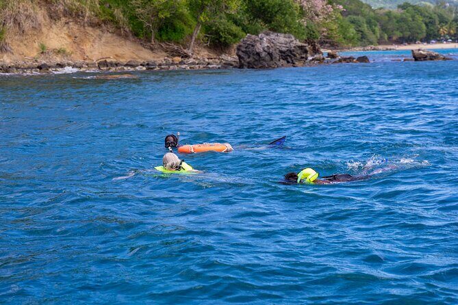 Snorkeling at Pigeon Island - What You’ll See: Fish, Corals, and the Spots Your Guide Finds
