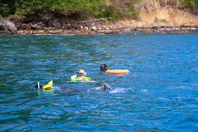 Snorkeling at Pigeon Island - Private Tour Perks: Why “Just Your Group” Matters