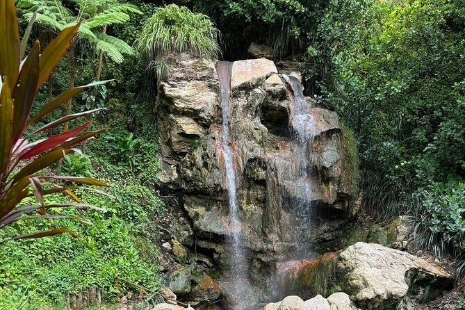 Soufriere Catamaran Excursion & Sapphire Falls Hike - Key highlights worth your attention