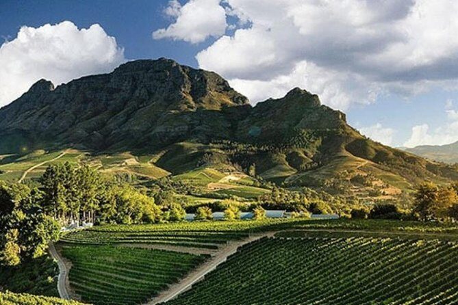 Splendour in the Winelands - Private Tour - A Private Stellenbosch Day That Starts in Cape Town
