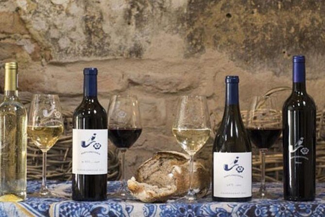 Splendour in the Winelands - Private Tour - Price and Value: What $244.36 Really Buys You