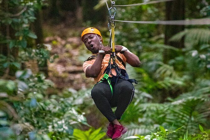 St. Lucia 3 in 1 Combo: Aerial Tram, Rainforest Trail & Zipline - Key things to know before you go
