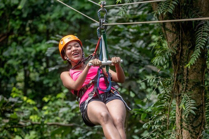 St. Lucia 3 in 1 Combo: Aerial Tram, Rainforest Trail & Zipline - What You’re Really Getting From This St Lucia Canopy Package