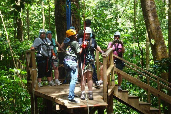 St. Lucia 3 in 1 Combo: Aerial Tram, Rainforest Trail & Zipline - Zipline Course Over the Canopy: 9 Platforms, 8 Lines
