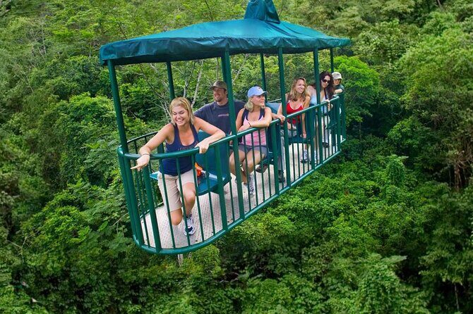 St. Lucia 3 in 1 Combo: Aerial Tram, Rainforest Trail & Zipline - The Rainforest Trail Hike: Learning What You’re Looking At