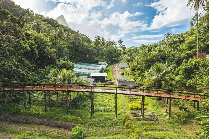 St Lucia Airport Transfer to Hotel Chocolat - The Ride Experience: A/C Comfort, Bottled Water, and Real Flexibility