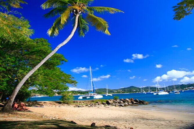 St Lucia Airport VIP Services & Private Transfers - What You’re Really Paying For: Value at $99 per Person