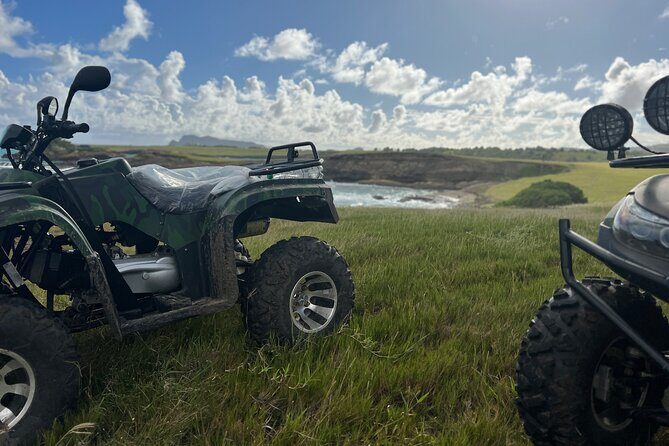 St Lucia ATV Tours (Best on Island) - Stop 1: Ma Kôté mangrove in the St. Lucia Rain Forest