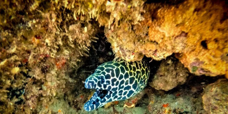 St. Lucia: Cape Vidal Snorkeling Adventure - Cape Vidal and iSimangaliso: the quick drive that sets the mood