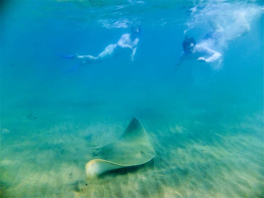St. Lucia: Cape Vidal Snorkeling Adventure - Hot drink and the fish ID book: learning without turning it into homework