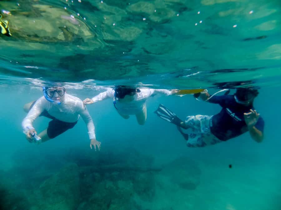 St. Lucia: Cape Vidal Snorkeling Adventure - Who this Cape Vidal snorkeling is best for