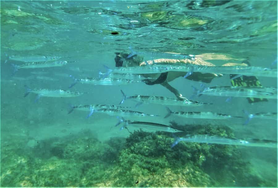 St. Lucia: Cape Vidal Snorkeling Adventure - Finding the meeting point at the Cape Vidal petrol station