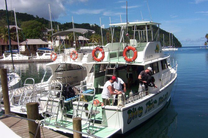 St Lucia Certified Scuba Diving Tour - Two Underwater Sites in One Half-Day: The Flow of Your Schedule