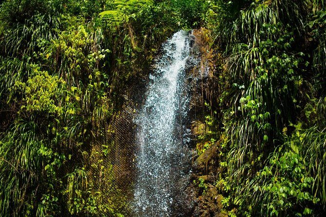 St Lucia Cruise Ship Excursion - Stop 3: Soufriere drive-through sights