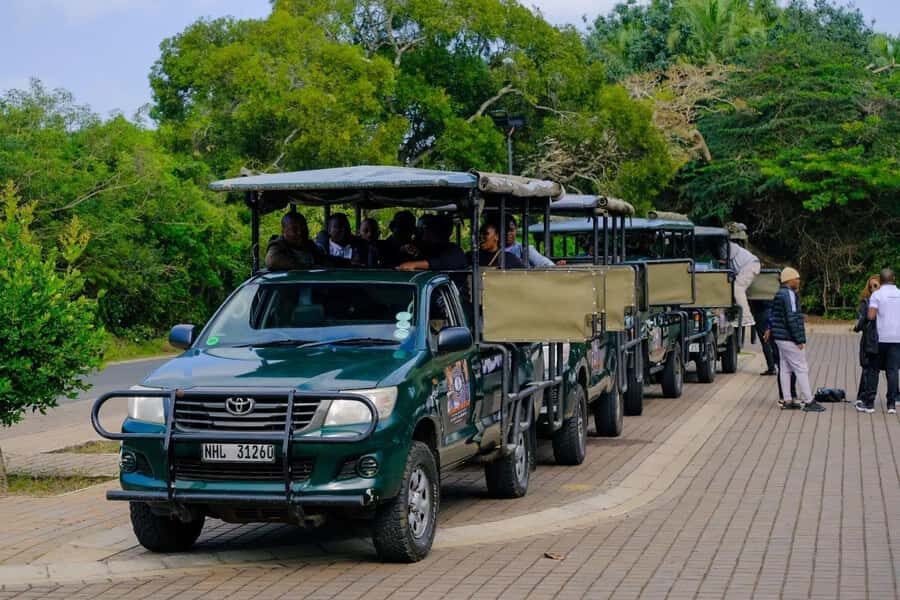 St Lucia: iSimangaliso Wetland Park: Full-Day/Half-Day Tour - Open Game Drive: Chasing Big 4 (and What You’ll Likely See)