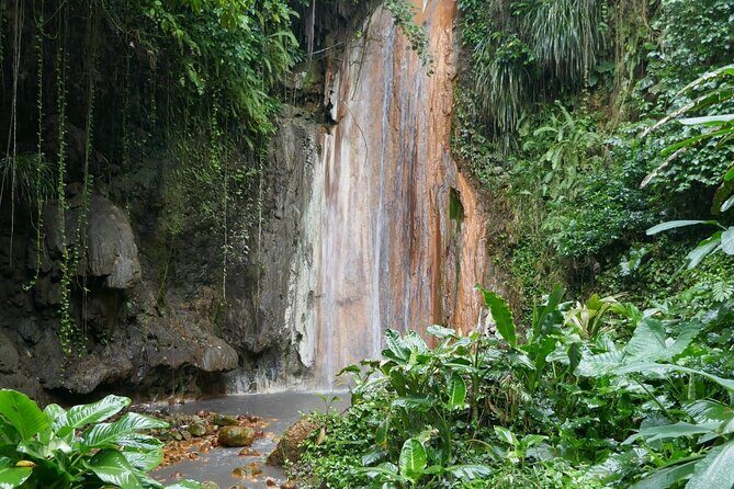St Lucia Island Excursion Day Tour - Petit Piton trail stop: viewpoints plus rum tasting