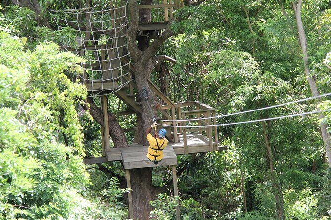 St. Lucia Morne Coubaril Estate Zipline Experience - What the hour looks like once you’re there