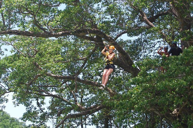 St. Lucia Morne Coubaril Estate Zipline Experience - The 8-line / 16-platform course: how the ride is structured