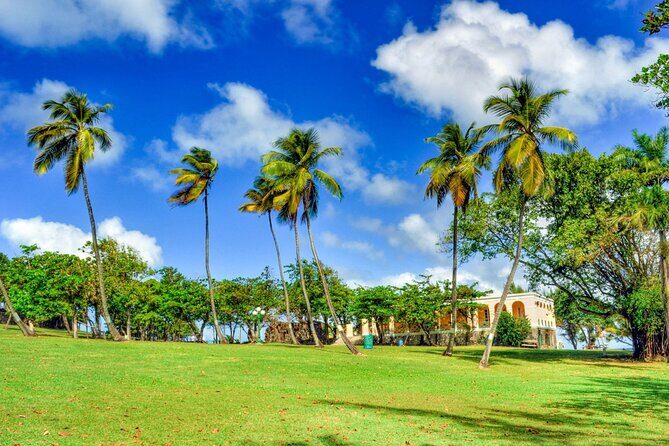 St Lucia Pigeon Island Ultimate Relax-Experience (Inc-Lunch) - Pigeon Island Causeway Beach: the swim-and-relax reset