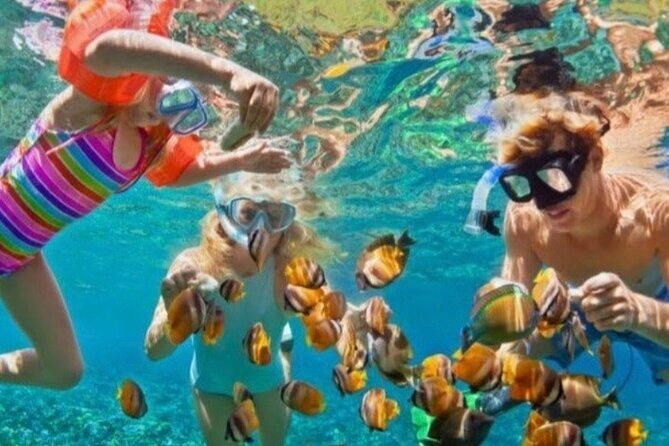 St Lucia Private Boat Tour/Sightseeing/Snorkeling - Pitons by boat: the UNESCO landmark you’ll see from the best angles