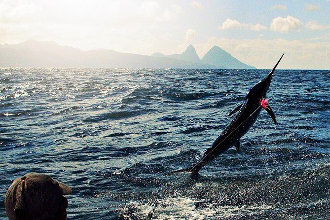 St Lucia Sport Fishing Tour - Bertram Sportfishing in St Lucia: What You’re Really Paying For