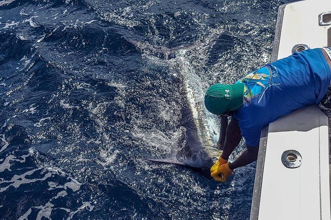 St Lucia Sport Fishing Tour - Lunch Isn’t Included: Plan Your Food Around a 4-Hour Trip