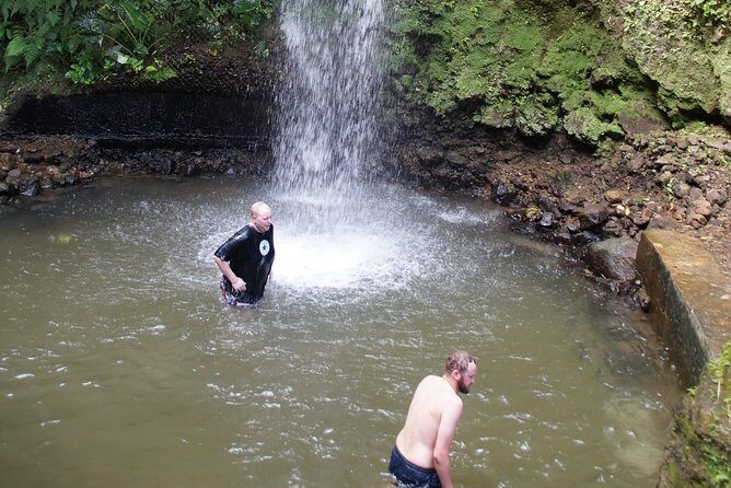 St Lucia Sunday's Tour - Bananas, Rum Roads, and the “Drive-By” Moments That Matter