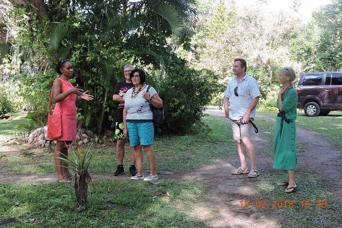 St Lucia Sunday's Tour - Price and Value: What $110 Really Covers