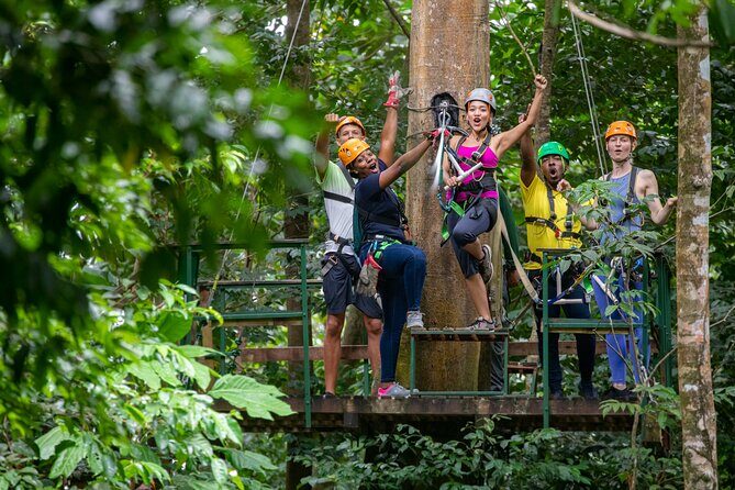 St Lucia Ultimate 3 Package: Aerial Tram, Zipline and Hiking - St Lucia’s Castries Waterworks Forest Reserve: where the day starts