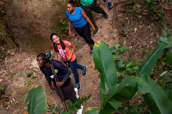 St Lucia Ultimate 3 Package: Aerial Tram, Zipline and Hiking - Who this package is best for (and who should skip it)