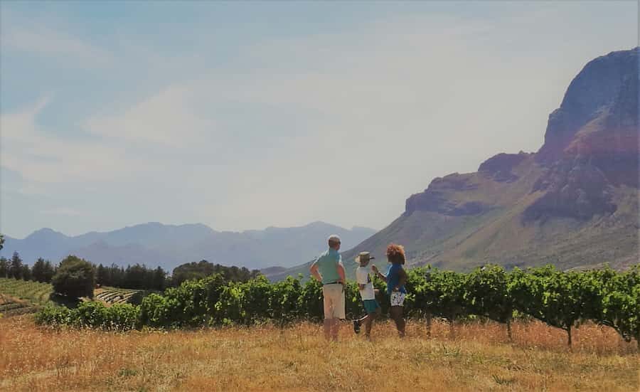 Stellenbosch: 4x4 Winelands Private Experience - Key things to know before you go