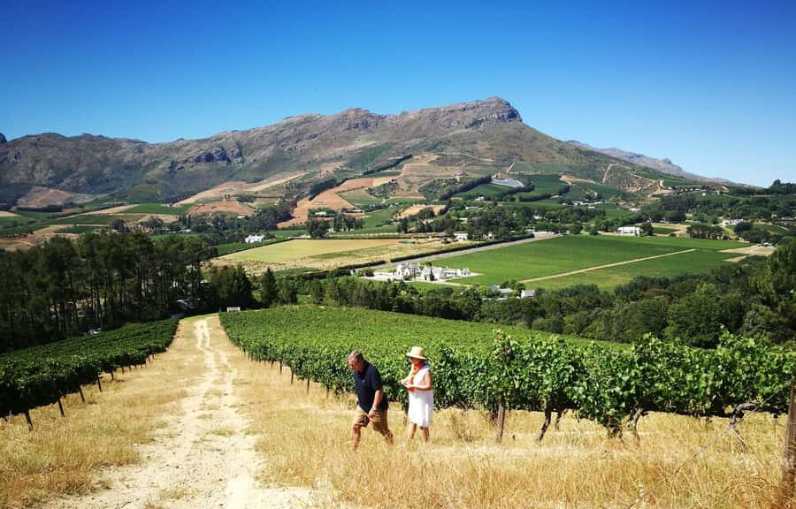 Stellenbosch: 4x4 Winelands Private Experience - Winery stops and tastings: how 3–4 estates fit in an 8-hour day
